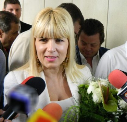 PMP: Diaconescu, Udrea sau Boc la prezidenţiale?